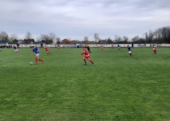 FB/ Fk Torpedo Cerovljani