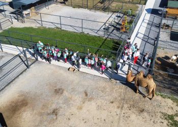 Ustupljena fotografija