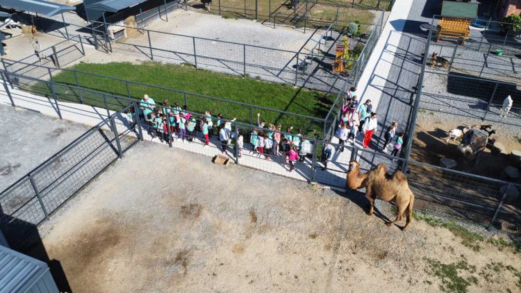 Ustupljena fotografija