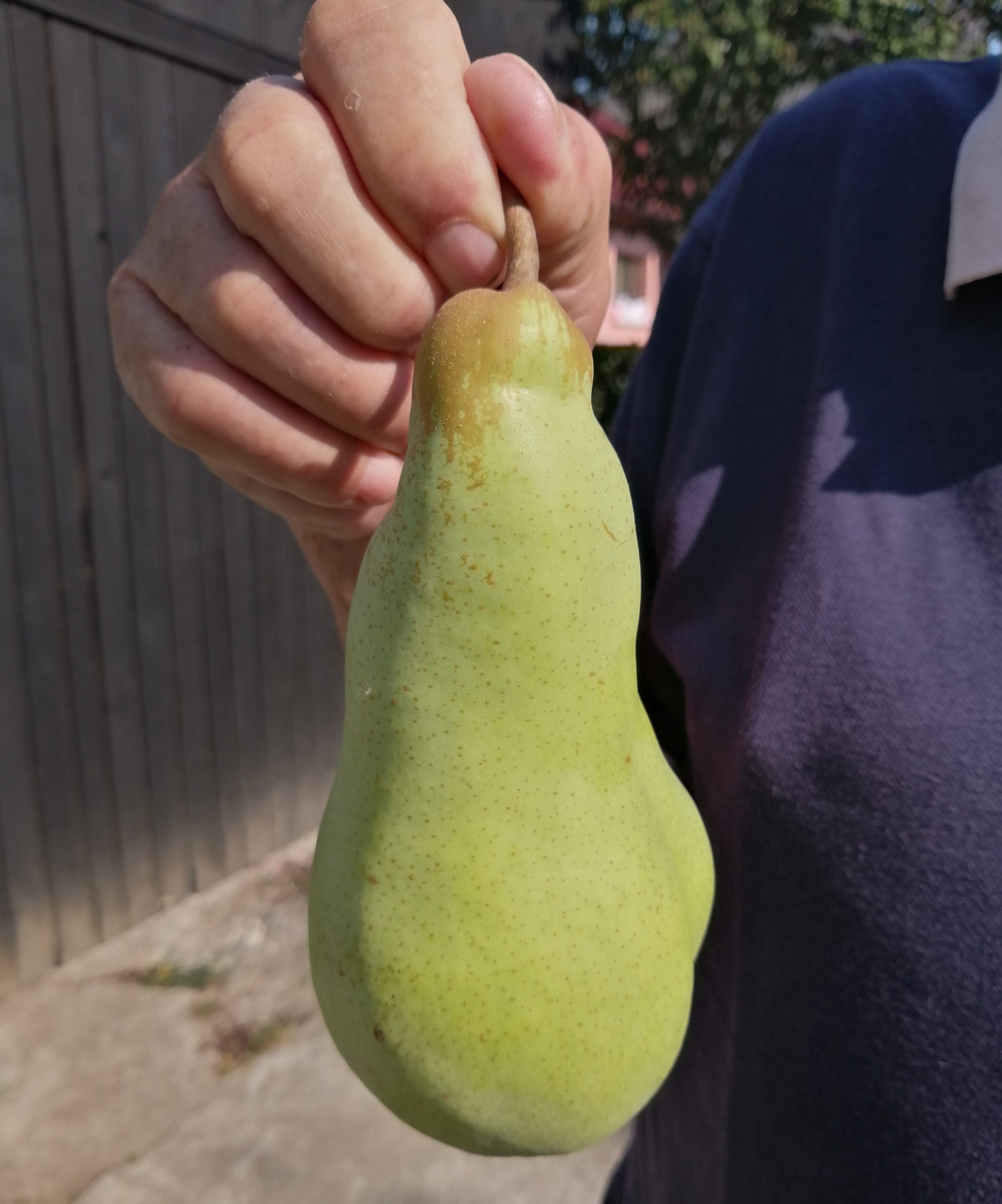 FOTO: MILAN PILIPOVIĆ/RAS SRBIJA