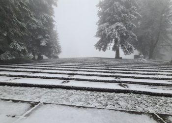 FOTO: Nacionalni park Kozara / Kozara National Park