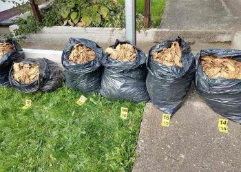 FOTO: USTUPLJENA FOTOGRAFIJA