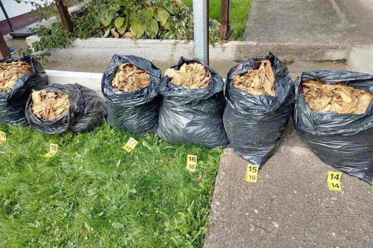 FOTO: USTUPLJENA FOTOGRAFIJA