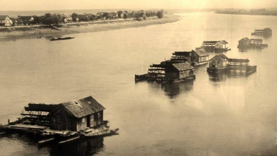 FOTO: USTUPLJENA FOTOGRAFIJA