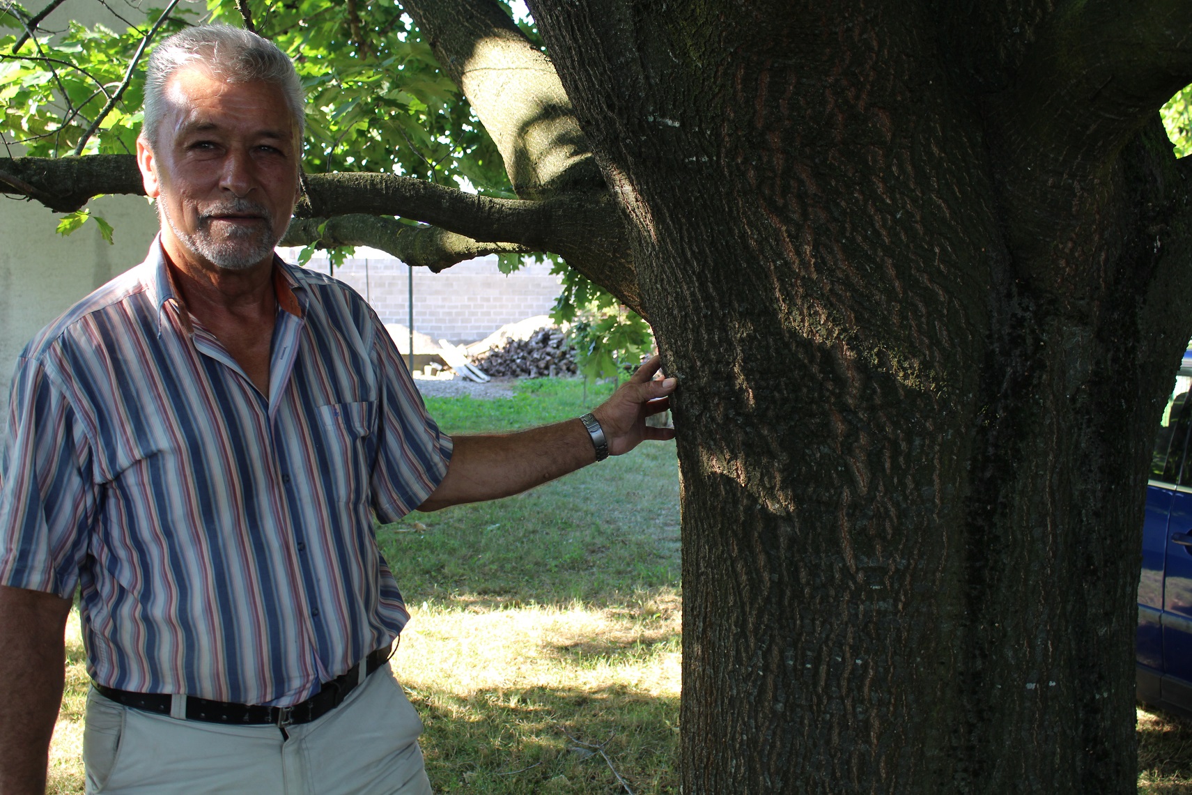 FOTO: MILAN PILIPOVIĆ/RAS SRBIJA