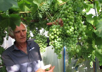 FOTO: MILAN PILIPOVIĆ/RAS SRBIJA