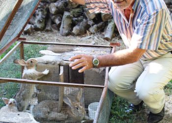 FOTO: MILAN PILIPOVIĆ/RAS SRBIJA