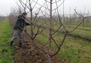 FOTO: S. R. MRKONJIĆ/RAS SRBIJA