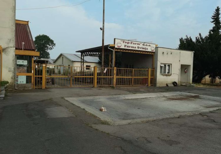 FOTO: USTUPLJENA FOTOGRAFIJA