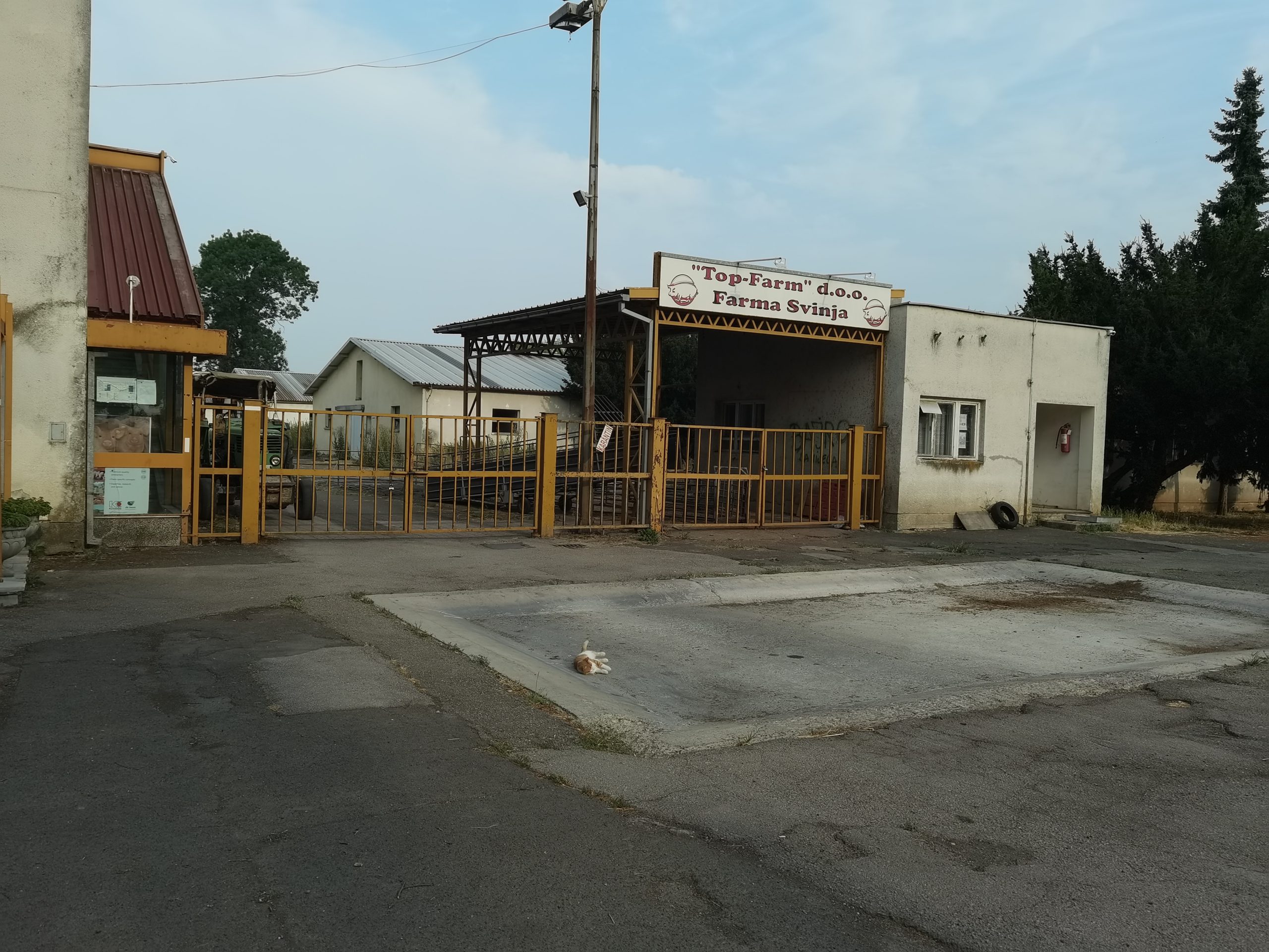 FOTO: USTUPLJENA FOTOGRAFIJA