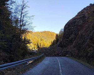 Foto: Društvene mreže