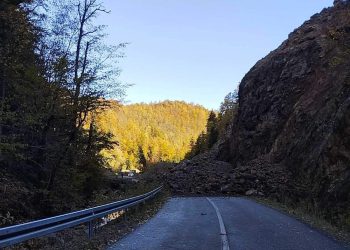 Foto: Društvene mreže