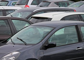 Foto: Manfred Richter/Pixabay