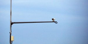 FOTO: Info.Bijeljina