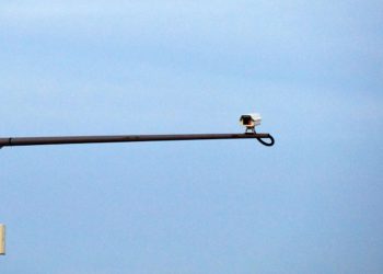 FOTO: Info.Bijeljina