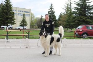 Uzgoj tornjaka u Kozincima