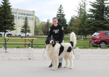 Uzgoj tornjaka u Kozincima