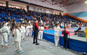 Niten, Kup, karate, Gradiška