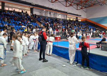 Niten, Kup, karate, Gradiška