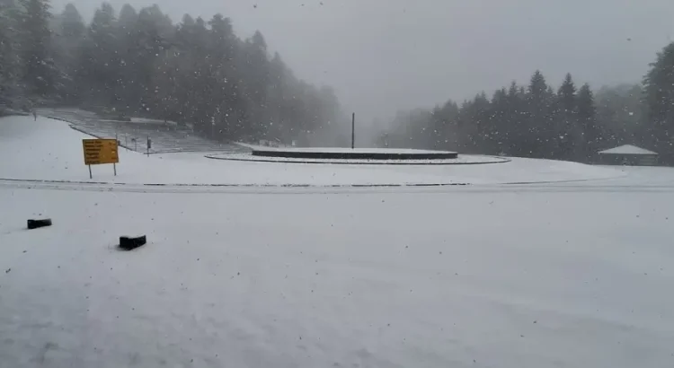 Kozara, snijeg, planina