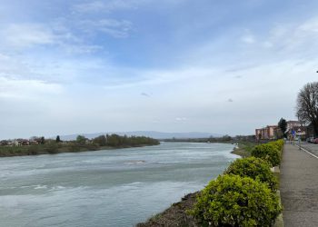 Savsko ostrvo, Gradiška