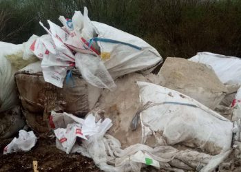 FOTO: Ustupljena fotografija