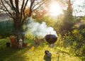 The sun shines through the smoke from grill for the perfect backyard barbecue