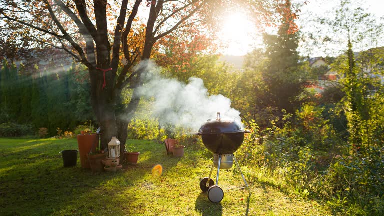 The sun shines through the smoke from grill for the perfect backyard barbecue