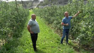 Foto: Micro mreža