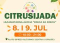 Citrusijada, djeca za djecu, kulturni centar