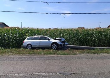 FOTO: Micro mreža