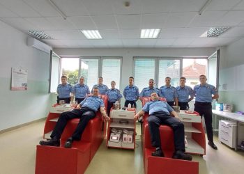 FOTO: Micro mreža