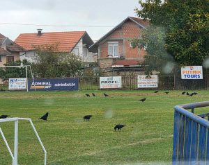 Foto: Micro mreža
